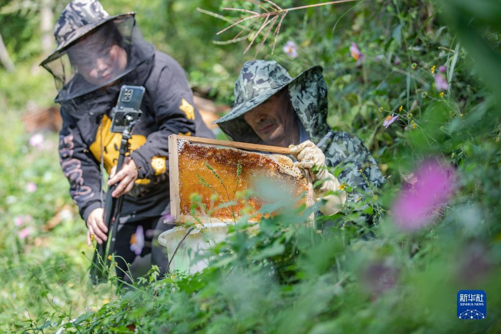 太阳城游戏官方网址u